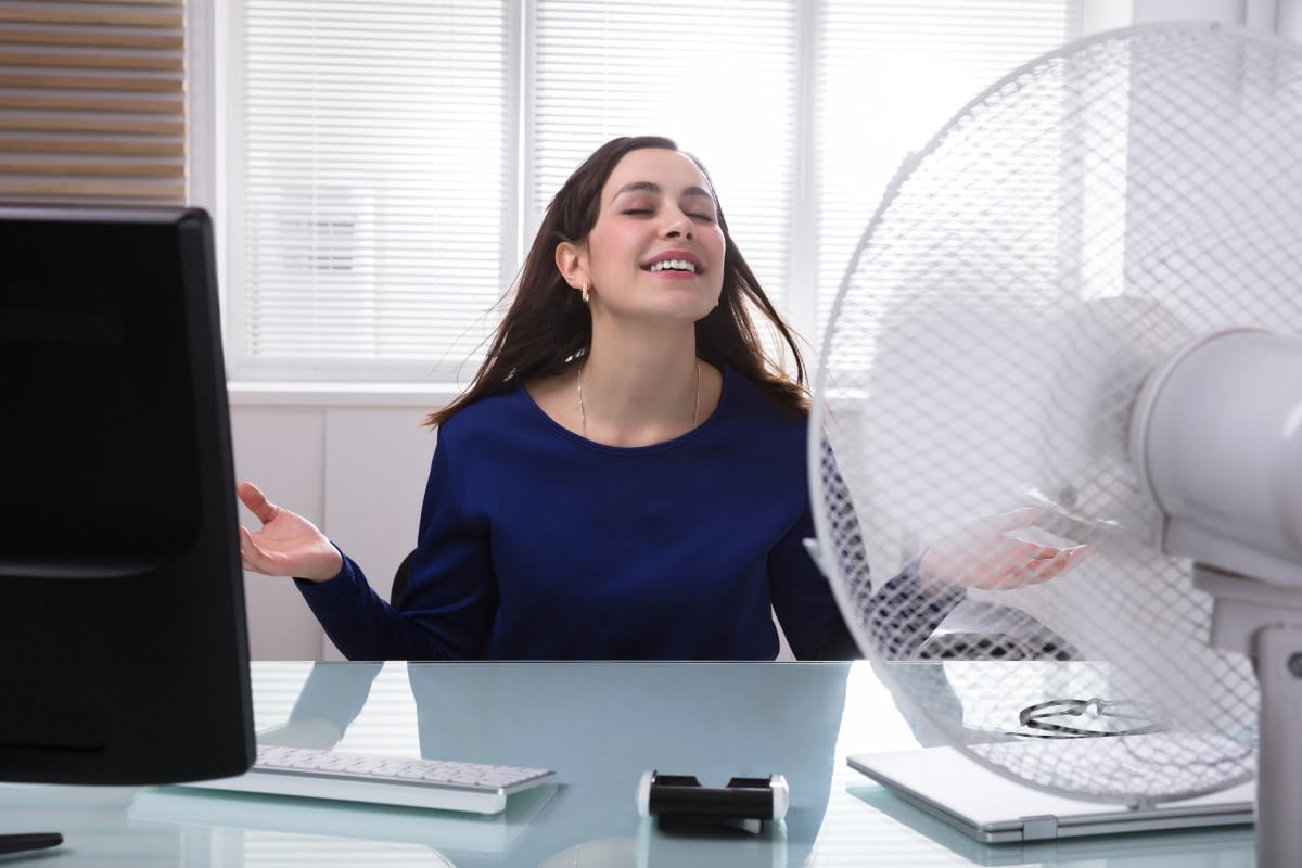 encuentra el ventilador ideal para tu hogar