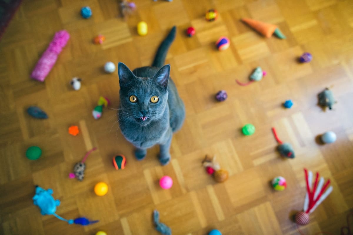 Juguetes-para-gatos
