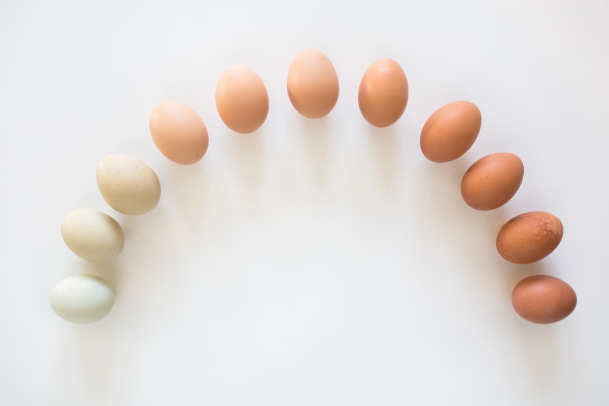 Beneficios-de-comer-huevo