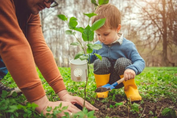 trasplantar flores y plantas