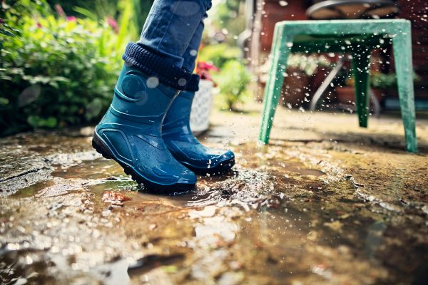 jardin en temporada de lluvias
