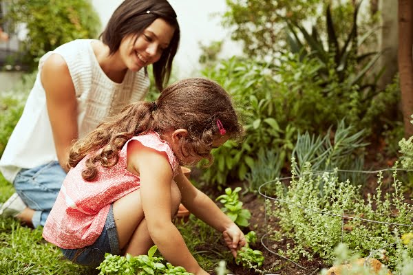 plantas para jardín