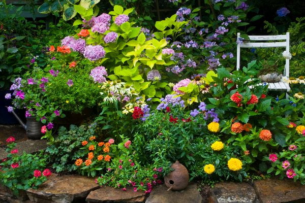 como tener un jardin saludable