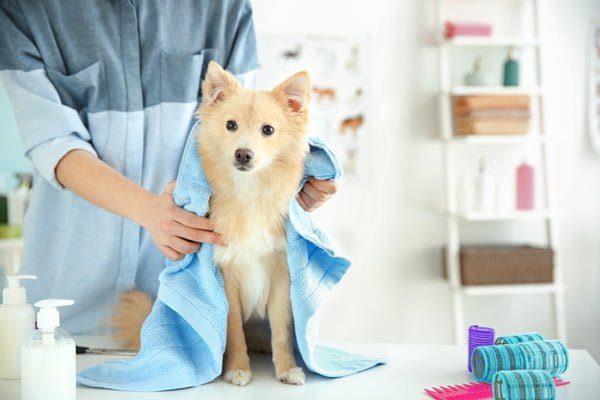 Limpia tu casa con productos de la despensa-4