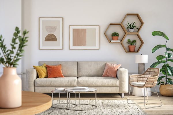 Cuidados para tus plantas de interiores