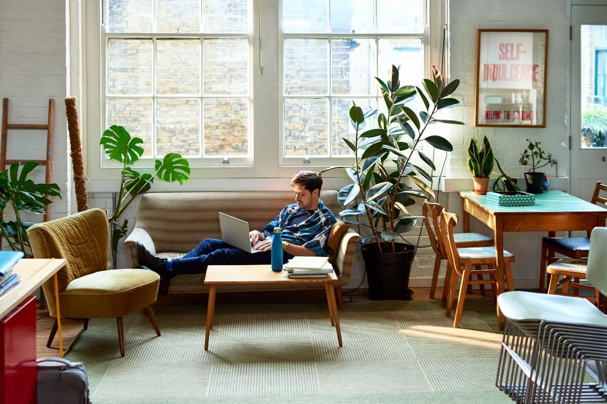plantas-para-decorar-tu-hogar
