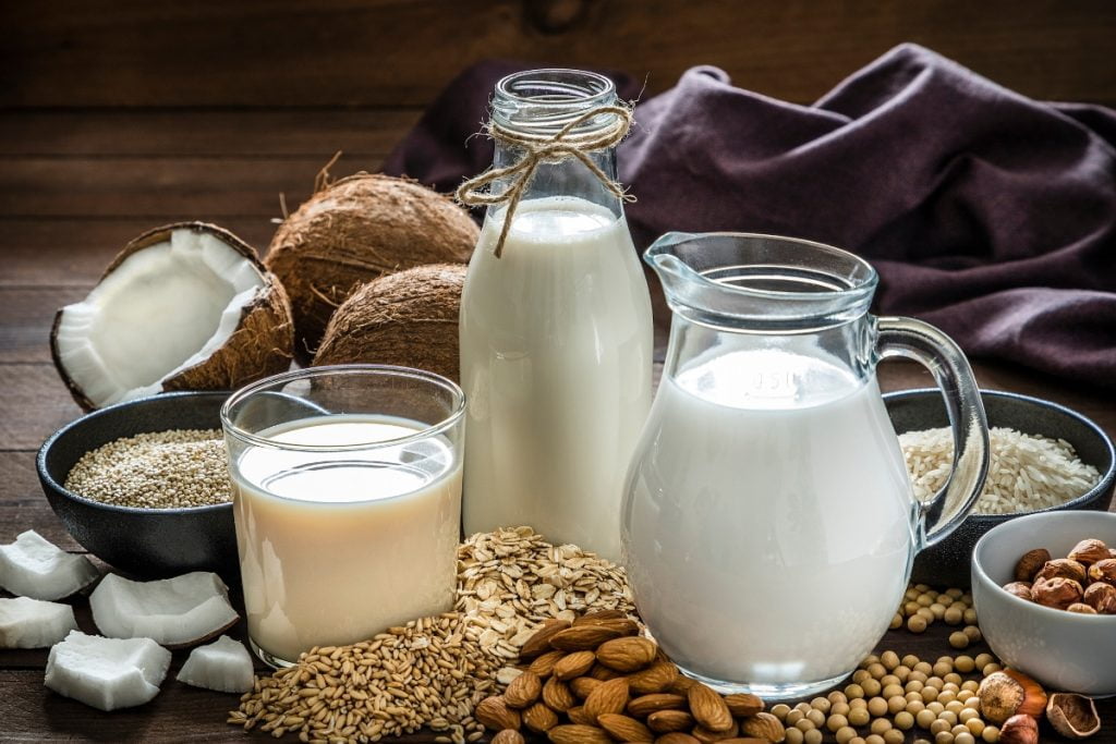 leche vegetal casera