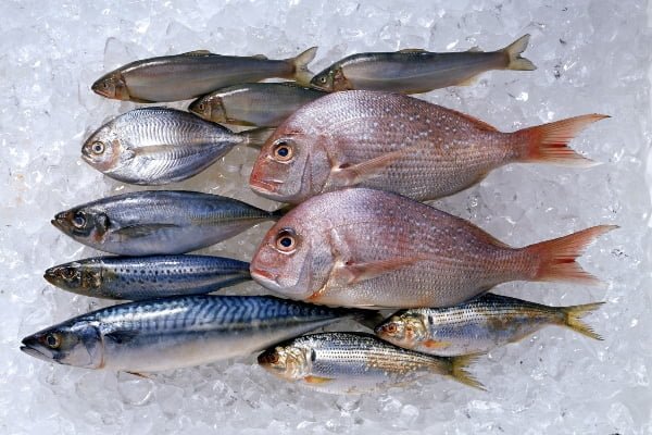 pescado congelado