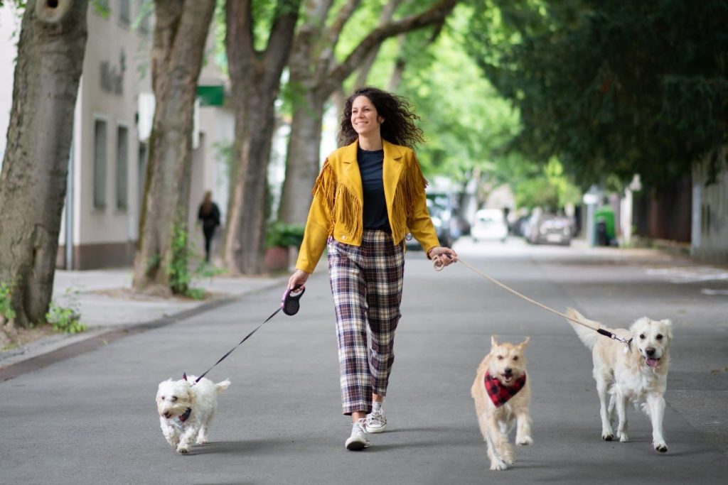 Pasear a tus mascotas