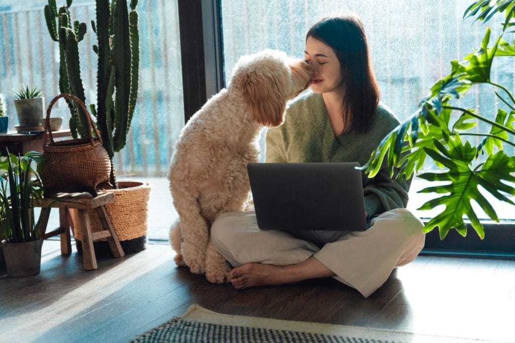 consiente a tu mascota en linea