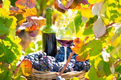 Características de los vinos españoles