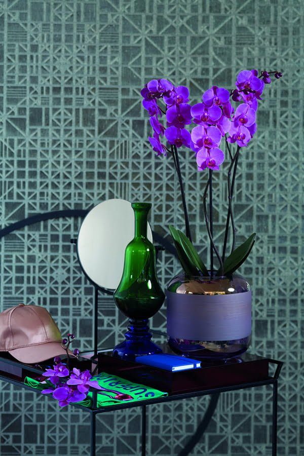 evolution interieur set